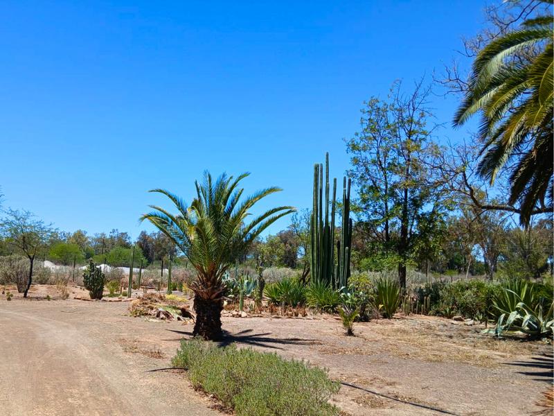 4 Bedroom Property for Sale in Jansenville Eastern Cape